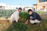 第6回：成長した野菜を収穫