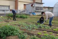 実践で学ぶ栽培管理