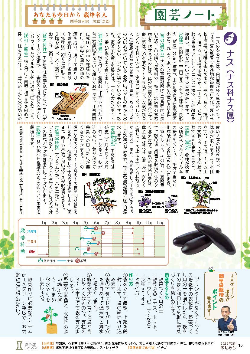 ナス