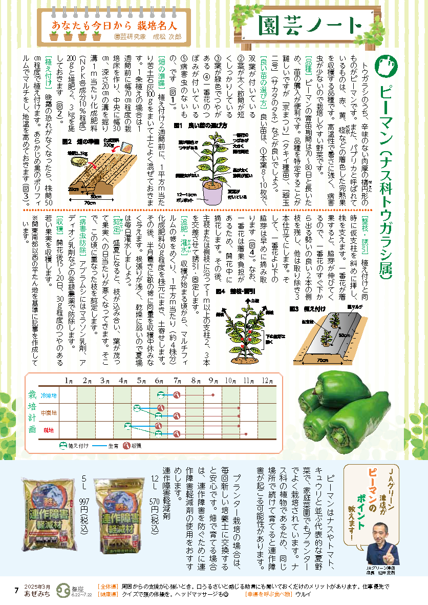 ピーマン