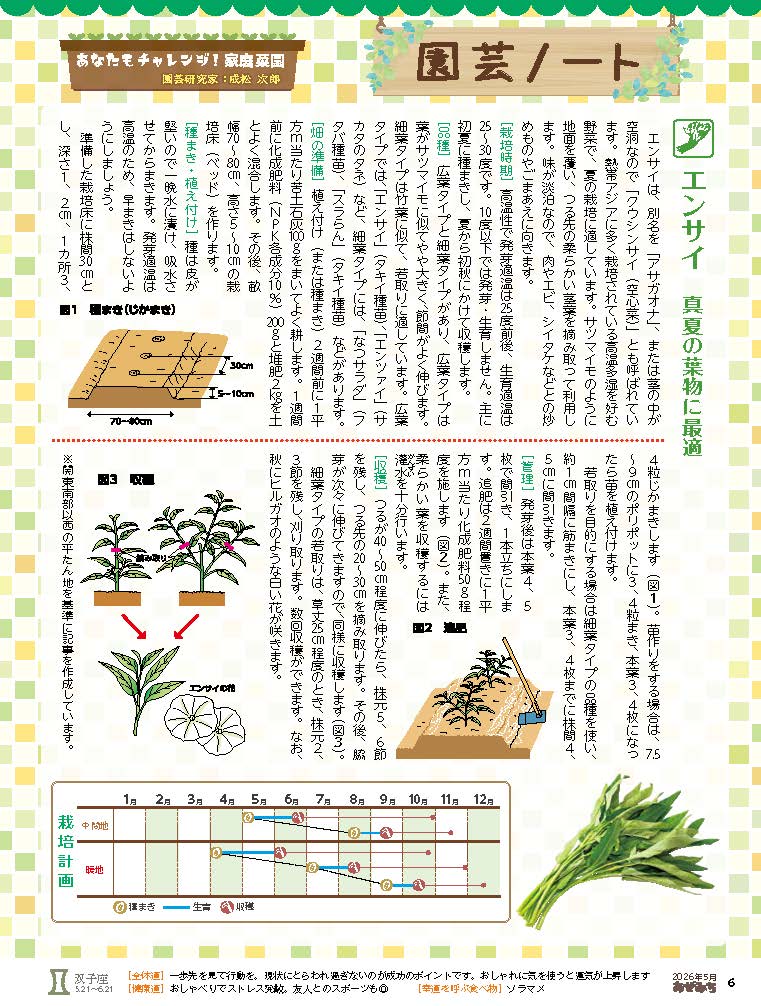エンサイ