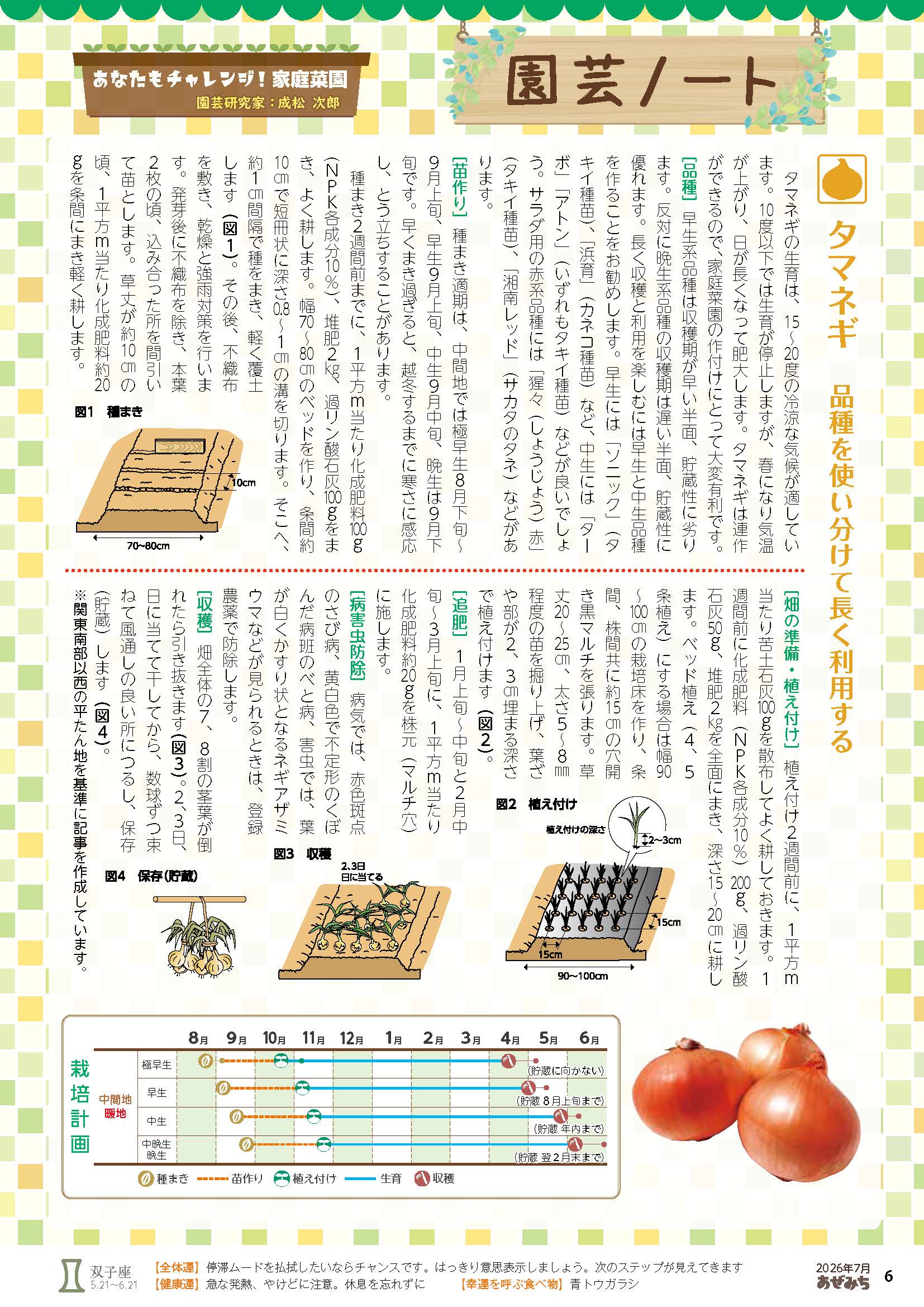 タマネギ