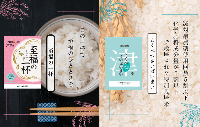 TSUGOME
